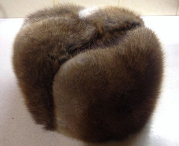 �����: ��� ������ ����� �� ���� ��������� �������� ����� �������� �������