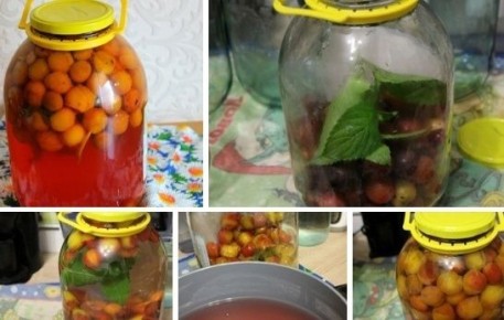 ������ ����������� � �����: ������ �� ������ ����� � �����