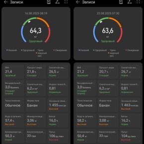 ��������� ����: ������� �������� ������������ � ������������ �������