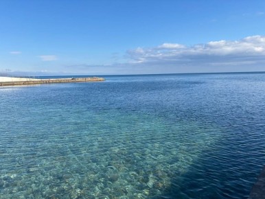 ������� �����������: ��� ������� � �������� ������� ������ �� �����