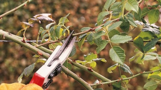 ������ �� ������� ������� ���: ��� ��������� �������� ������ � ������� ���������� ������