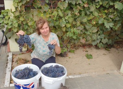 ��� ����������� �������� � ����: ������� ��������� ����������