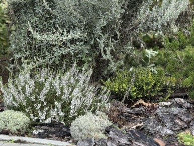 ������� ������: ��� ������ � ��������