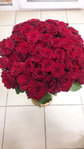 ������� ��������� ����� �� ������: ��� ���� � �������� ������