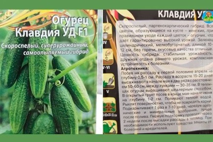 ������ �������: ������ ������ ����� �����������