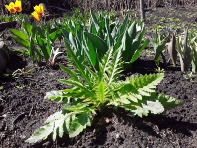 ������ �������� � ��������� �����: ����������� ������� � ��������������� ������