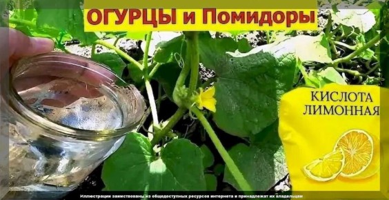 ��� ��������� ������������� ������ � ������: �������� ���������� ����� �����������