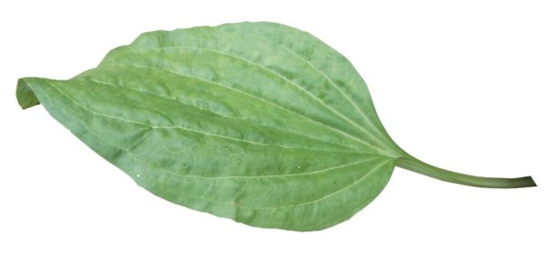 ����������: ���� ������� �������� �� ���