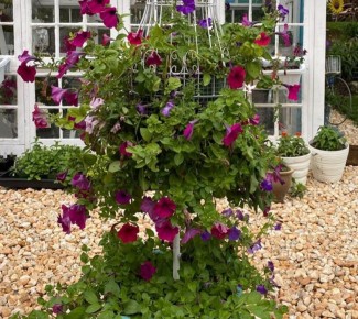 ��� ������� ��������� ��������� ���: 15 ���� ��� ���������� ���� � ���������