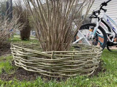 ������� �������� ������� ��������: ��� �������� ���������������� ������