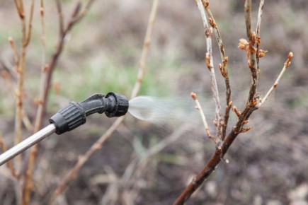 �������� ������� ������ ���� �� ���������� � ��������