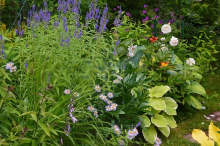 ��� ������� �������� ������� � �������� �����