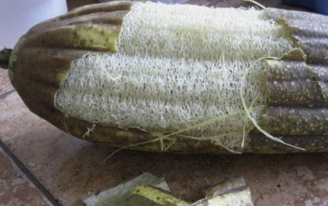 ������ � �����: ����� �������� � ��� �������� ��� �������