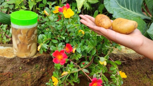 ��� ����������� ��������� �� ������������ ������� ����� ���� �������