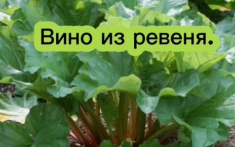 ��� ����������� �������� ���� �� ������: ������� � ������
