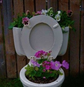 ��� ������ ���� ����� ����������� ��� ���