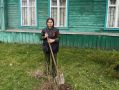 Сотрудники межрайонного следственного отдела следственного управления СК России по Костромской области приняли участие в акции «Сад Памяти»