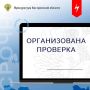 Прокуратура Макарьевского района организовала проверку по публикации в средствах массовой информации об обрушении из-за неудовлетворительного состояния проезжей части дороги к улице Холодная Заводь в Макарьеве