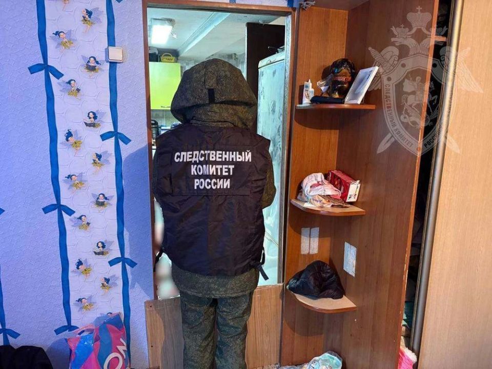 Завершено расследование уголовного дела в отношении жительницы Костромы, обвиняемой в убийстве сожителя