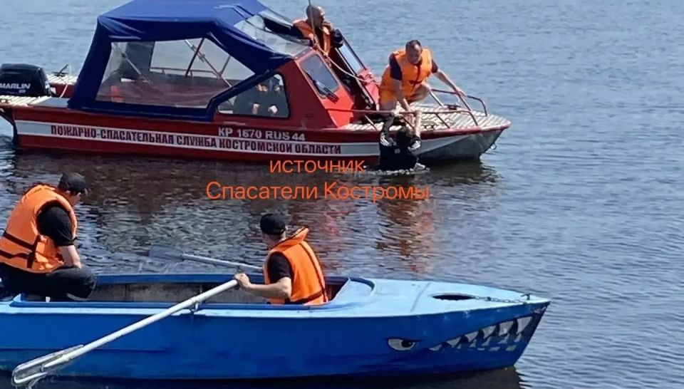 Неадекватного мужчину спасли в Костроме против его воли