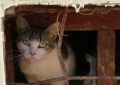 Кострому накроют нудные дожди