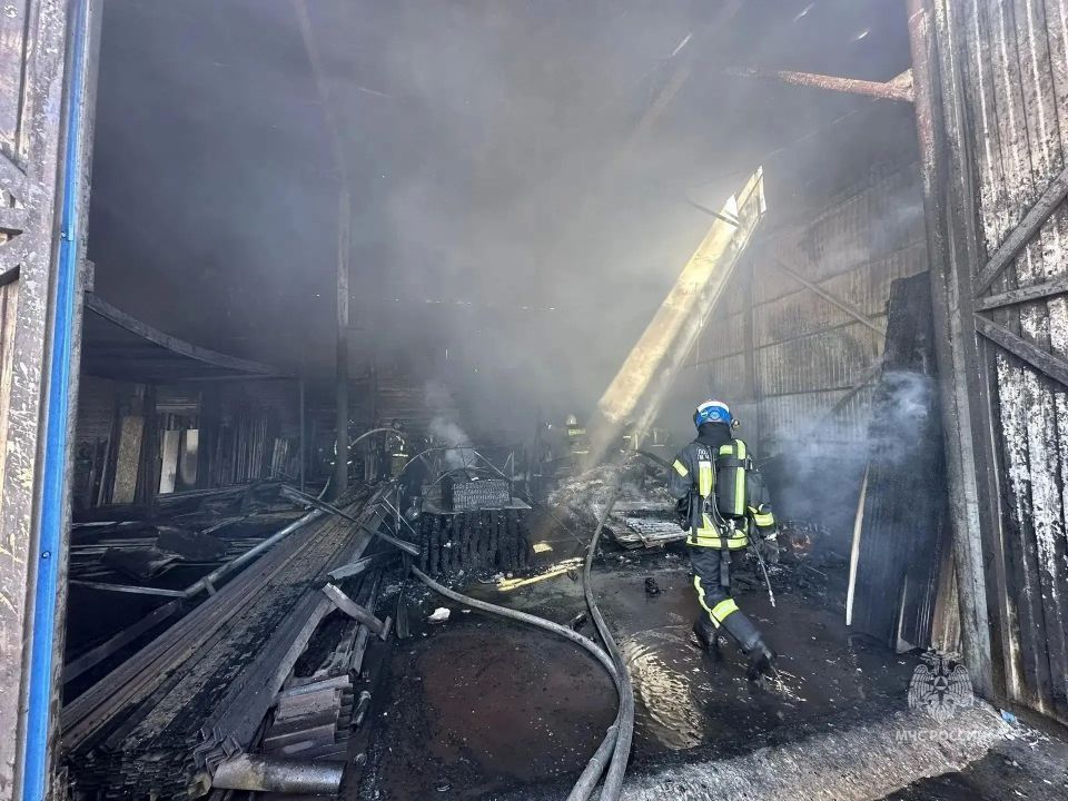 в самаре страстный пожар на складе древесины: пять часов борьбы с огнем
