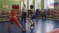 В Костромской области прошел открытый межрегиональный турнир по боксу памяти Ивана Нечаева