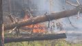 В Макарьевском районе локализован лесной пожар