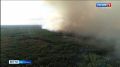 Лесной пожар обнаружен в Нейском районе