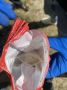 В Костроме полицейские задержали наркодилера, торговавшего «солью» из рук в руки