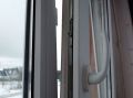 Как избавиться от плесени: советы экспертов