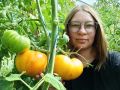 Томат «Обед Влюбленных»: секреты успеха и удивительный вкус