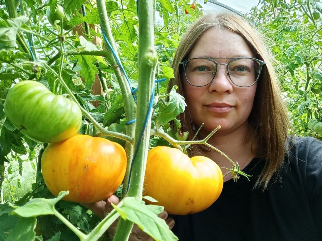 Томат «Обед Влюбленных»: секреты успеха и удивительный вкус