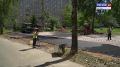 ��������� ����: ����� �������� ����� ����� ������ ������������� �� 2025 ���