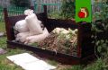 Что стоит положить в лунки для посадки картофеля: секреты крупных клубней и борьба с вредителями