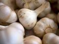Заботы осенью: как вырастить крупный чеснок и лук