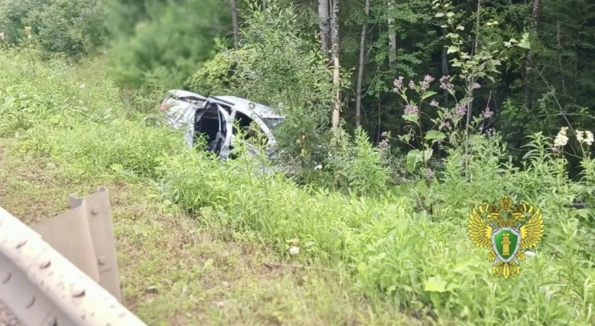 Утром 15 июля 2026 года на 20-м км автодороги «Пыщуг — Павино — Вохма — Боговарово» в Павинском районе 30-летний водитель автомобиля «Рено Логан» не справился с управлением и допустил съезд в кювет
