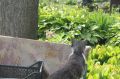 Настоящее лето вот-вот вернется в Кострому