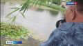 ���������� ������������ ���������� ��������� ���� � �������� �������� ������� �����