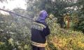 Стихия подожгла дом на центральной улице в Костроме