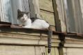 Жара решила напоследок разгуляться в Костроме