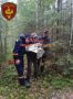 Пятерых человек за три дня вывели из костромских лесов спасатели и добровольцы