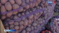 ������ ����� �� ������: � �������� ���������� �������������������� �������