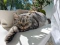 ПРОГНОЗ ПОГОДЫ НА НЕДЕЛЮ: КОСТРОМИЧЕЙ ЖДЕТ СЕНТЯБРЬСКАЯ СВЕЖЕСТЬ