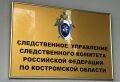 В Костроме завершено расследование в отношении иноагента Ирины Шумиловой