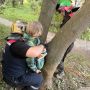 СЕМИЛЕТНИЙ РЕБЕНОК ЗАСТРЯЛ В ДЕРЕВЕ ВО ВРЕМЯ ПРОГУЛКИ В КОСТРОМЕ