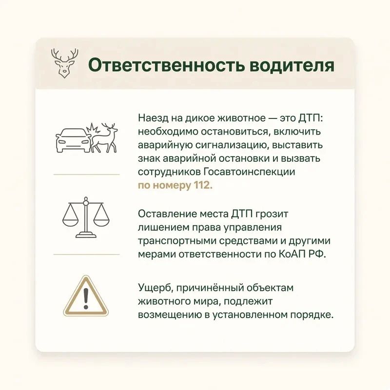 Автоинспекторы Костромской области напоминают, как избежать ДТП с животными Автоинспекторы Костромской области напоминают, как избежать ДТП с животными