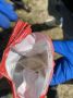 В Костроме полицейские задержали подозреваемого в хранении наркотиков в крупном размере