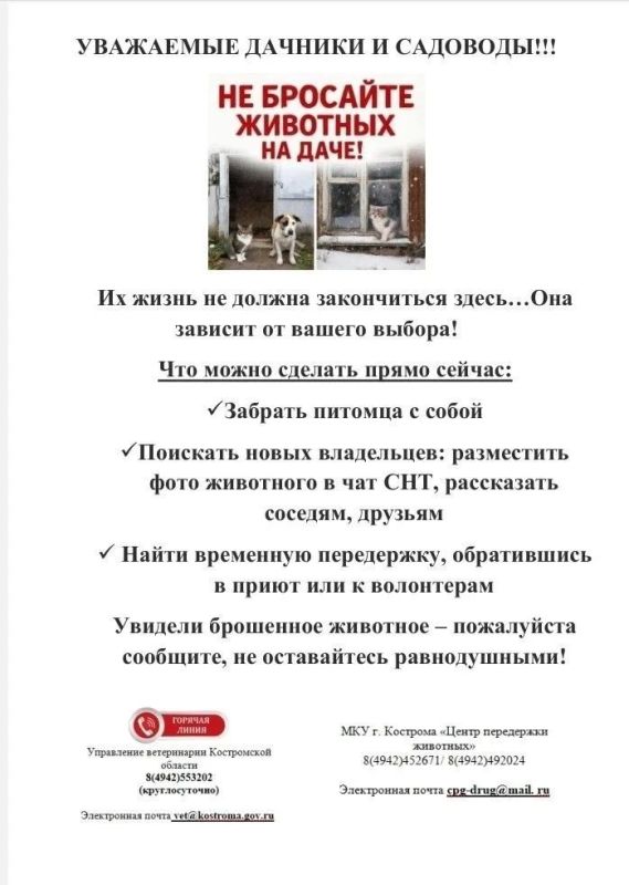 В преддверии окончания дачного сезона управление ветеринарии Костромской области проводит акцию «Не бросайте животных на даче» В преддверии окончания дачного сезона управление ветеринарии Костромской области проводит акцию «Не бросайте животных на даче»