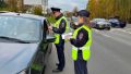 Костромская Госавтоинспекция усилит контроль на пешеходных переходах